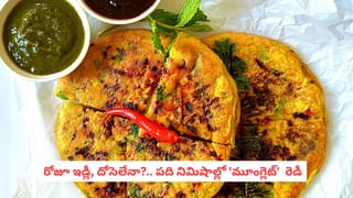 Moonglet Recipe: గుడ్లు తినని వారికి ఇది వరం.. వెన్న సువాసనతో అదిరిపోయే ‘వెజ్ ఆమ్లెట్’ సీక్రెట్ ఇదే!