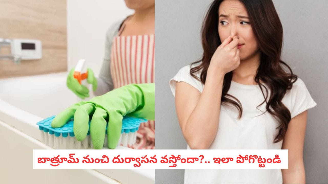 Bathroom Hacks: బాత్రూమ్ దుర్వాసనకు చెక్.. వంటింటి వస్తువులతో అదిరిపోయే నేచురల్ ఫ్రెషనర్లు! Bathroom Hacks: బాత్రూమ్ దుర్వాసనకు చెక్.. వంటింటి వస్తువులతో అదిరిపోయే నేచురల్ ఫ్రెషనర్లు!