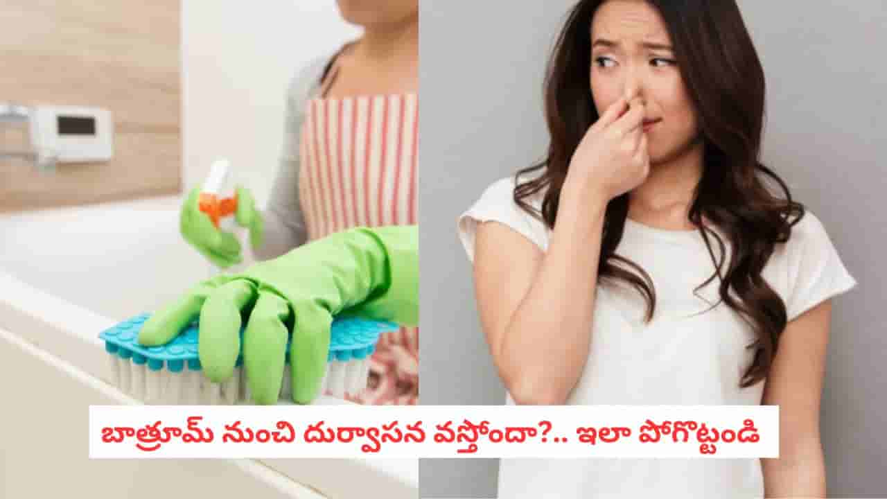 Bathroom Hacks: బాత్రూమ్ దుర్వాసనకు చెక్.. వంటింటి వస్తువులతో అదిరిపోయే నేచురల్ ఫ్రెషనర్లు!