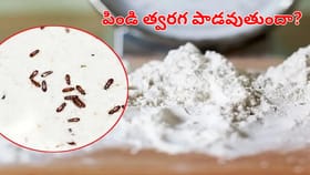 గోదుమ పిండి త్వరగా పాడవుతుందా.. ఇలా చేస్తే సంవత్సరమైనా