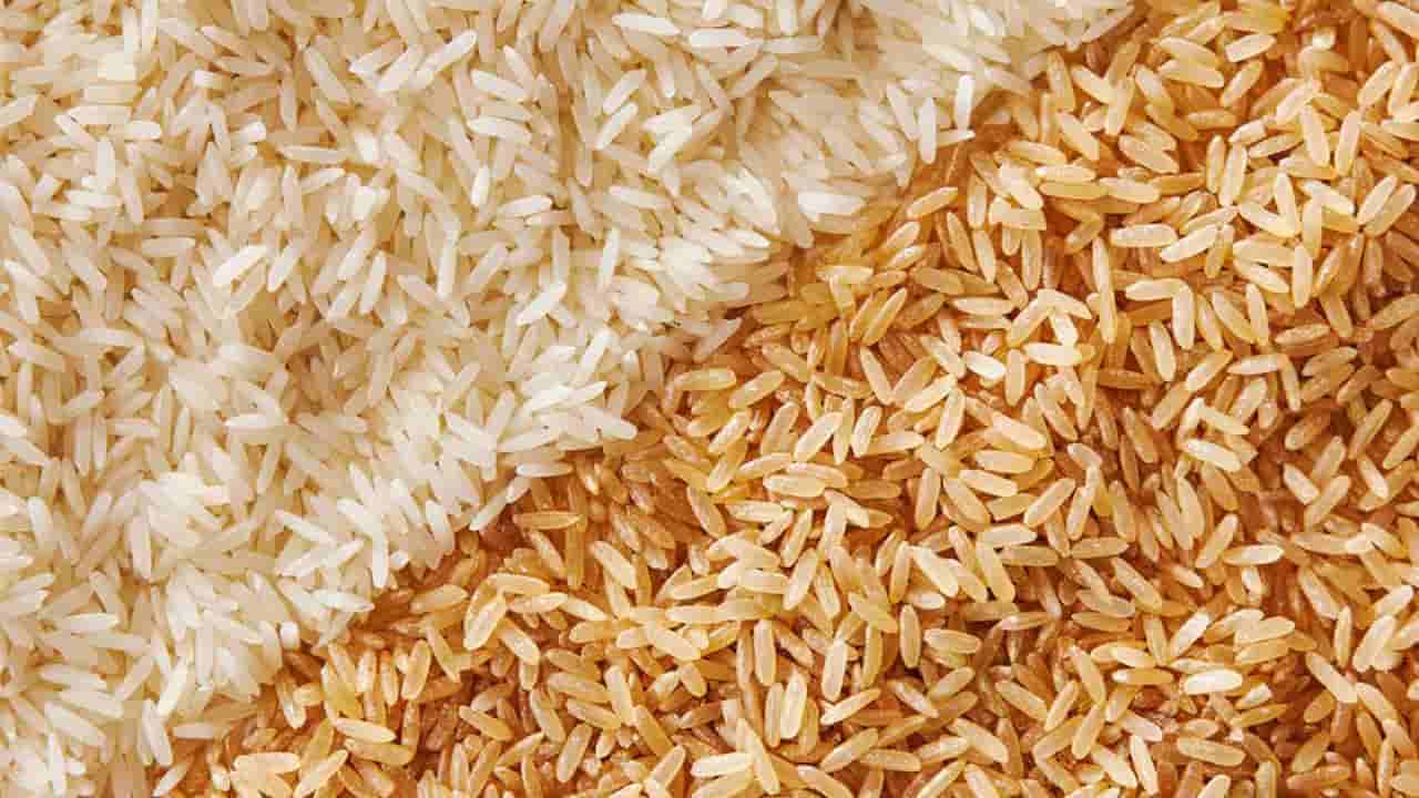 White vs Brown Rice: వైట్ లేదా బ్రౌన్ రైస్.. తర్వగా బరువు తగ్గేందుకు ఏది బెస్ట్!