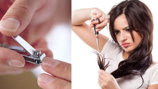 Teddy Day 2026: లవర్స్‌కే కాదు! టెడ్డీ హగ్ లాభాలు అందరికీ.. వాలెంటైన్స్ వీక్ స్పెషల్..