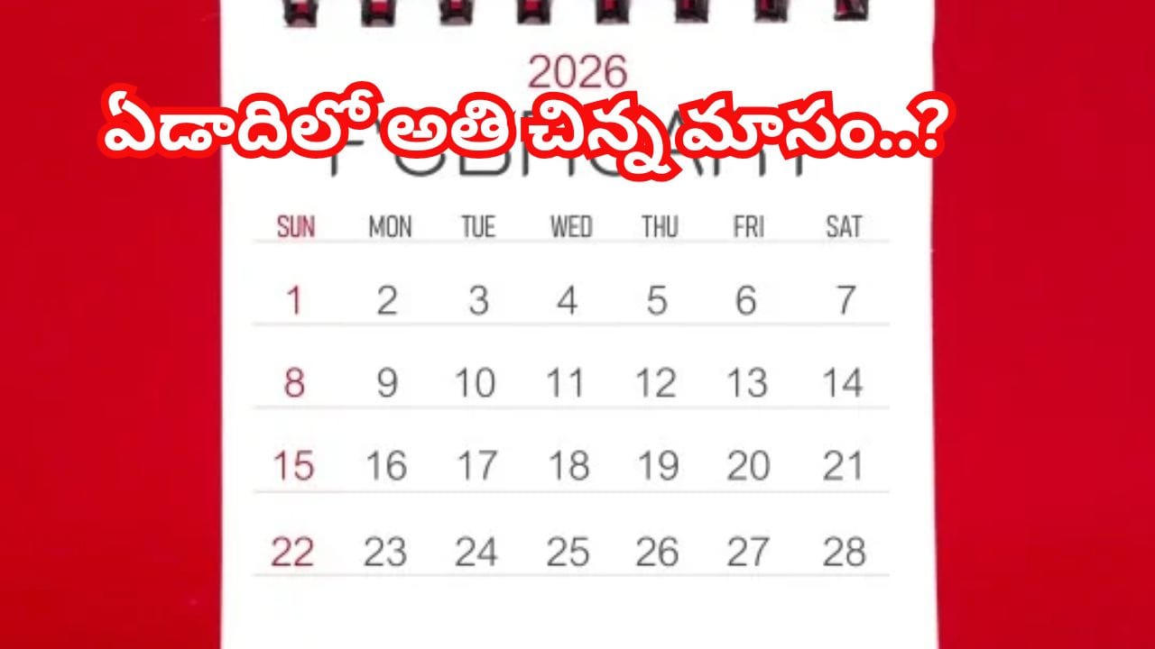ఫిబ్రవరిలో 28 రోజులే ఎందుకు ఉంటాయి..? 2000 సంవత్సరాల నాటి ఈ రహస్యం తెలిస్తే షాక్ అవుతారు.!