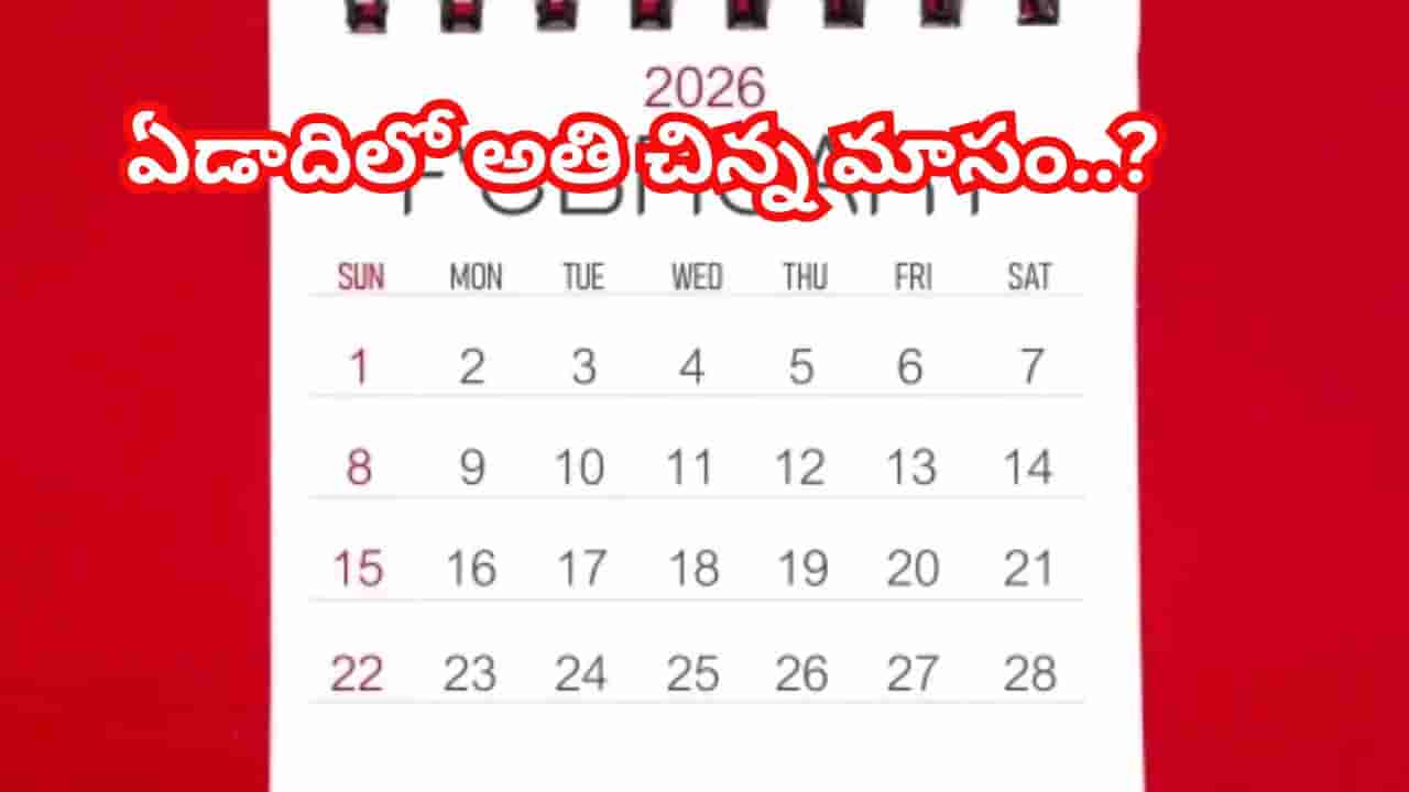 ఫిబ్రవరిలో 28 రోజులే ఎందుకు ఉంటాయి..? 2000 సంవత్సరాల నాటి ఈ రహస్యం తెలిస్తే షాక్ అవుతారు.!