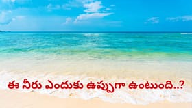 సముద్రం నీరు ఉప్పగా.. నది నీరు తియ్యగా ఎందుకుంటుంది..?