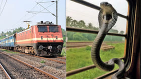వామ్మో.. రైల్లో ప్రయాణిస్తున్న పాములు.. శాస్త్రవేత్తల పరిశోధనలో..