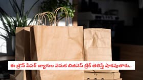 ఈ బ్రౌన్ పేపర్ బ్యాగుల వెనుక బిజినెస్ ట్రిక్ తెలిస్తే షాకవుతారు..