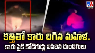 Optical Illusion: దమ్ముంటే కాస్కో.. ఈ ఫోటోలో దాగి ఉన్న కుక్కను 7 సెకన్లలో గుర్తించండి చూద్దాం!