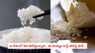 ముడతలు, మచ్చలకు చెక్ పెట్టే అద్భుత నూనె.. యవ్వనంగా కనిపించాలంటే ఇది వాడాల్సిందే!