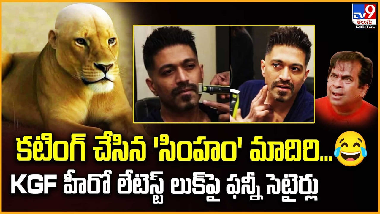 Yash: కటింగ్ చేసిన ‘సింహం’ మాదిరి.. KGF  హీరో లుక్‌పై కామెడీ సెటైర్లు