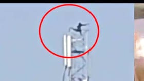 ప్రేమ - పెళ్లి చేయలేదని దారుణం..!