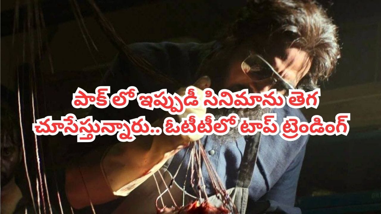 OTT Movie: ఓటీటీలో దుమ్మురేపుతోన్న కొత్త సినిమా.. ఏకంగా పాకిస్తాన్‌లోనూ నంబర్‌వన్‌గా ట్రెండింగ్