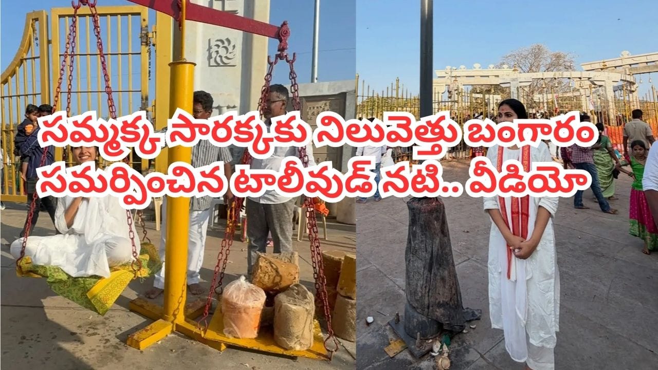 Tollywood: మేడారం సమ్మక్క, సారక్కకు నిలువెత్తు బంగారం సమర్పించిన టాలీవుడ్ నటి.. వీడియో ఇదిగో