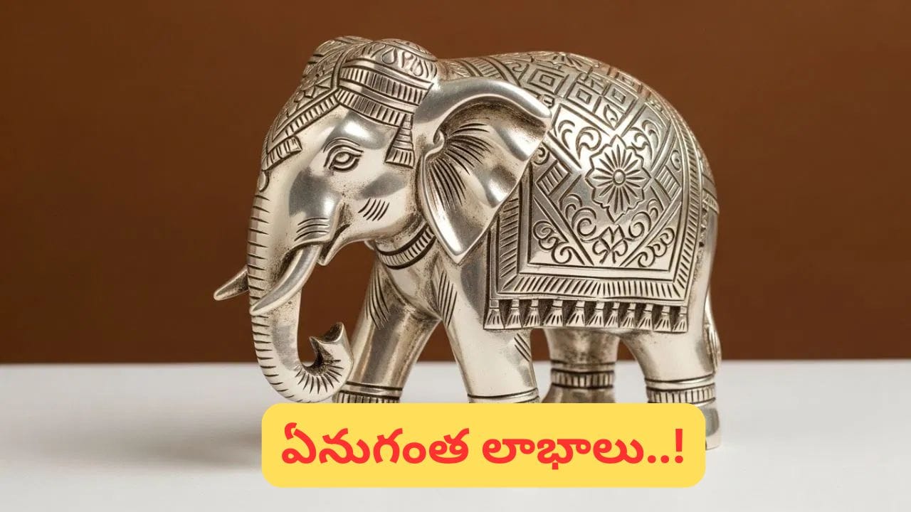 Vastu tips: మీ ఇంట్లో ఏనుగు బొమ్మ ఉందా..? ఇలా చేస్తే మీకు రెట్టింపు అదృష్టం.!