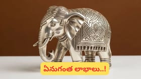 మీ ఇంట్లో ఏనుగు బొమ్మ ఉందా..? ఇలా చేస్తే మీకు రెట్టింపు అదృష్టం.!