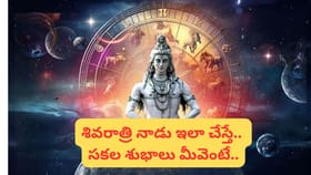 శివరాత్రి నాడు మీ రాశి ప్రకారం శివుడికి ఈ వస్తువులను సమర్పిస్తే..