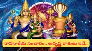 Wallet Vastu Tips: మీ పర్సు డబ్బుతో కళకళలాడాలంటే.. ఈ తప్పులు మాత్రం చేయొద్దు!
