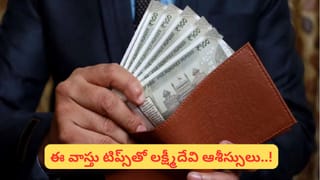 రాహు-కేతు సంచారంలో మార్పు.. వివాహం, విదేశీ యోగం.. ఈ రాశులకు అతిపెద్ద శుభవార్తలు.!