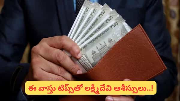 Wallet Vastu Tips: మీ పర్సు డబ్బుతో కళకళలాడాలంటే.. ఈ తప్పులు మాత్రం చేయొద్దు!