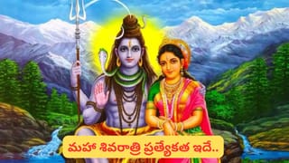 కోటి మంది పిల్లలకు ఆరోగ్య భాగ్యం.. సత్యసాయి గ్రామంలో ఘనంగా శ్రీ సత్యసాయి అన్నపూర్ణ ట్రస్ట్ 10వ వార్షికోత్సవ వేడుకలు