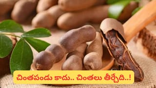 గర్భిణీ స్త్రీలను పాములు కాటేయ్యవా.. ఆ శక్తి అడ్డుపడుతుందా..? ఈ మిస్టరీ తెలిస్తే అవాక్కే..