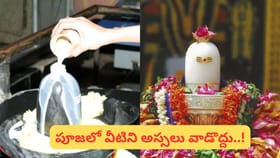 మహాశివరాత్రి.. ఈరోజు శివుడికి ఆగ్రహం తెప్పించే ఈ తప్పులు చేయొద్దు