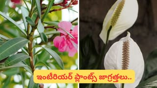 రాత్రిళ్లు గాఢ నిద్ర మీకూ కావాలంటే.. ఈ అలవాట్లు ఇప్పుడే వదిలించుకోండి