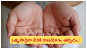 చేతిలో గరుడ రేఖ ఉంటే మహర్జాతకులు అవుతారా..? అసలు విషయం ఇదే