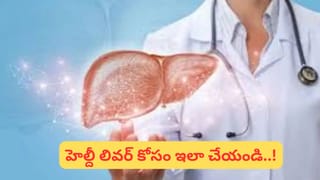 Vastu Tips: మనీ ప్లాంట్‌తో జాగ్రత్త.. ఈ పని చేశారో దురదృష్టం మీ నట్టింట్లో తిష్ట వేస్తుంది..