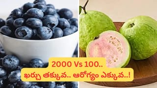 Health Tips: డయాబెటిస్‌ ఉన్నవారు పాలు, పెరుగు తీసుకోవడం మంచిదేనా? ఆయుర్వేదం ఏం చెబుతోంది?