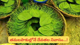 Vizag: రోడ్డు పక్కన మురుగు కాలువ నుంచి బరా.. బరా అని చప్పుళ్లు.. ఏంటా అని చూడగా..