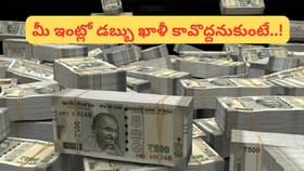 ఇంట్లో ఈ ప్రదేశాలలో డబ్బు ఉంచితే.. ఆర్థిక సమస్యలు తప్పవు..!