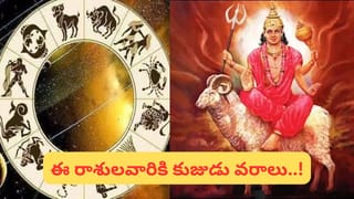 Tortoise Vastu: అదృష్ట తాబేలు మీ ఇంట్లో ఉందా..? ఈ దిశలో పెడితే దరిద్రాన్ని తన్ని తరిమేసినట్లే..!