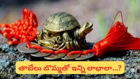 తాబేలు మీ ఇంట్లో ఉందా..? ఈ దిశలో పెడితే దరిద్రాన్ని తరిమేసినట్లే