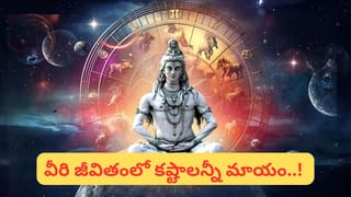 Vastu Tips: బూజే కదా అని నిర్లక్ష్యం చేస్తే.. అంతులేని నష్టాలు తప్పవు! ఇలా చేస్తే అద్భుత ఫలితాలు.!