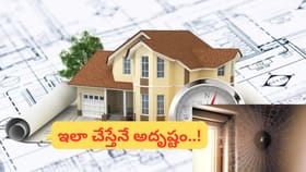 బూజే కదా అని నిర్లక్ష్యం చేస్తే.. అంతులేని నష్టాలు తప్పవు..!