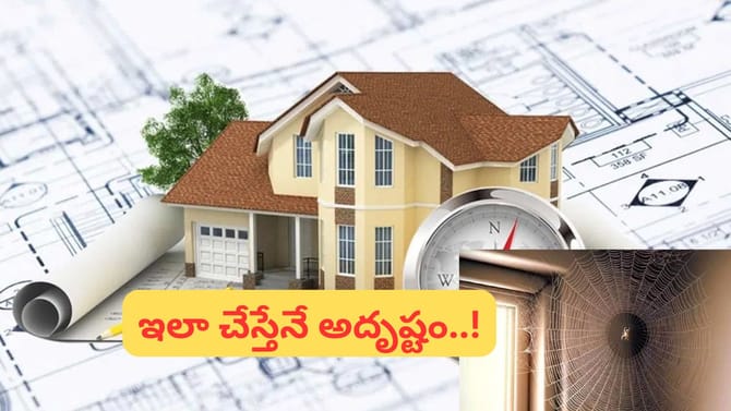 బూజే కదా అని నిర్లక్ష్యం చేస్తే.. అంతులేని నష్టాలు తప్పవు..!