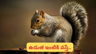 మహా శివరాత్రి: త్రిశూలం నుంచి నంది వరకు… శివుని చిహ్నాల అర్థం, రహస్యాలు తెలుసా..?