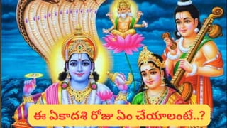 Betel Leaf Plant: తమలపాకు చెట్టు మీ ఇంట్లో ఉంటే ఏమౌతుందో తెలుసా ?