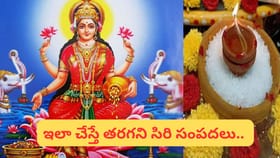 ఎంత సంపాదించినా.. డబ్బు నిలవడం లేదా..? లక్ష్మీ కటాక్షం కోసం ఇలా..