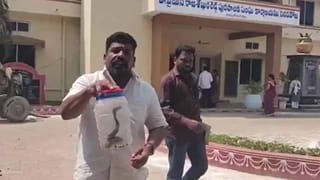 Kurnool: ఏదో డ్యామేజ్ వచ్చి ఇలా వేశారు అనుకునేరు.. పాపం ఆ రైతు..