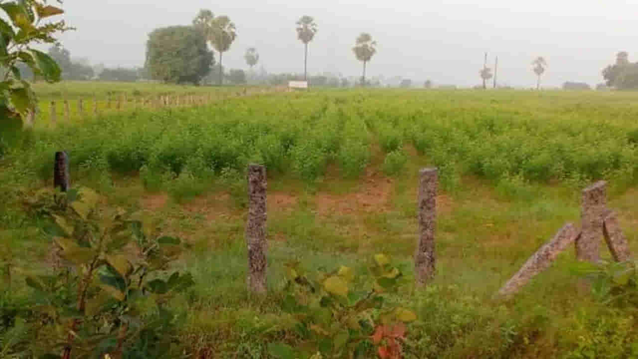 Telangana: రోడ్డు పక్కన పొలం నుంచి అదే పనిగా శబ్దాలు.. ఏంటా అని వెళ్లి చూడగా..