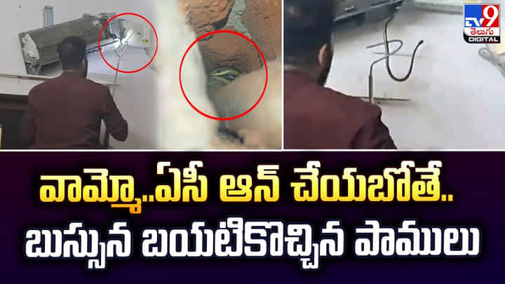ఎండ ఎక్కువగా ఉందని ఏసీ ఆన్ చేయబోతే.. బుసలు కొట్టుకుంటూ బయటికొచ్చిన పాములు ఎండ ఎక్కువగా ఉందని ఏసీ ఆన్ చేయబోతే.. బుసలు కొట్టుకుంటూ బయటికొచ్చిన పాములు