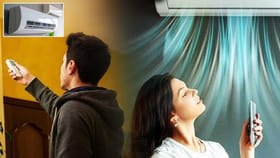 పొద్దుగూకులు ఏసీలో ఉంటే ఏమవుతుంది..? పెద్ద కథే ఉందిగా..