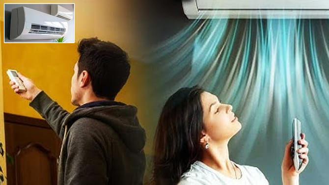 పొద్దుగూకులు ఏసీలో ఉంటే ఏమవుతుంది..? పెద్ద కథే ఉందిగా..