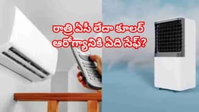 ఎండాకాలం స్పెషల్: ఏసీనా లేక కూలరా? ఆరోగ్యానికి ఏది ప్రమాదకరం?