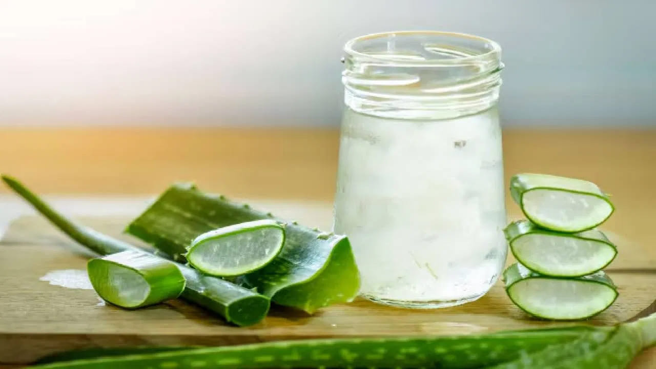 ఈ జాగ్రత్తలు తప్పనిసరి: కలబంద రసం ప్రయోజనకరమైనప్పటికీ, అందరికీ ఒకేలా పని చేయకపోవచ్చు. ముఖ్యంగా గర్భిణీ స్త్రీలు, చిన్న పిల్లలు దీనికి దూరంగా ఉండాలి. తీవ్రమైన అనారోగ్య సమస్యలు ఉన్నవారు దీనిని సేవించే ముందు తప్పనిసరిగా వైద్యుడిని లేదా ఆయుర్వేద నిపుణుడిని సంప్రదించాలి. తక్కువ ఖర్చుతో, సులభంగా లభించే కలబందను మీ దినచర్యలో భాగం చేసుకొని ఈ వేసవిలో మీ ఆరోగ్యాన్ని కాపాడుకోండి.
