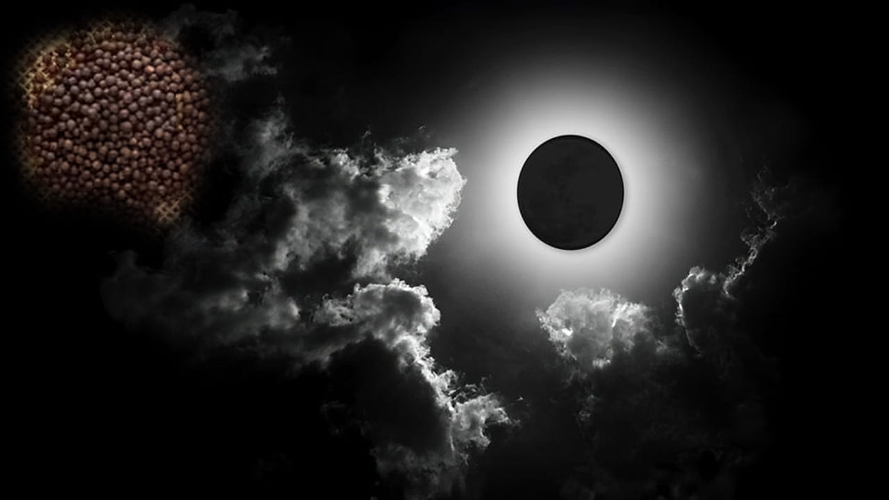 నోట్ : ఈ వార్తలలో ఇవ్వబడిన సమాచారం మత విశ్వాసాలపై ఆధారపడి ఉంది. పాఠకుల ఆసక్తి మేరకు.. పలువురు పండితుల సూచనలు, వారి తెలిపిన అంశాల ఆధారంగా అందించినవి మాత్రమే.. వీటిలో ఎలాంటి శాస్త్రీయ ఆధారాలు లేవని పాఠకులు గమనించాలి. టీవీ9 తెలుగు దీనిని ధృవీకరించలేదు