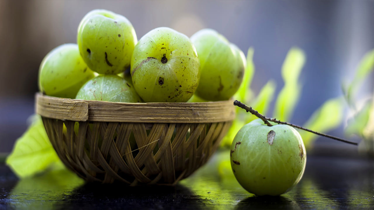 ఆరోగ్య స్పృహ ఉన్నవారు చాలా మంది తమ ఉదయాన్ని గ్లాసుడు ఉసిరి రసంతో ప్రారంభిస్తారు. ఆయుర్వేదంలో ఉసిరితో ఎన్నో ప్రయోజనాలు ఉన్నాయి. విటమిన్ సి, యాంటీఆక్సిడెంట్లకు నిలయమైన ఈ పండు, రోగనిరోధక శక్తిని పెంచడంలో అద్భుతంగా పనిచేస్తుంది. అయితే కొన్ని రకాల ఆరోగ్య సమస్యలు ఉన్నవారు ఉసిరి తీసుకోవడం ప్రాణాంతకమని వైద్యులు హెచ్చరిస్తున్నారు.