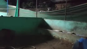 గాఢనిద్రలో ఉన్న రైతు.. వింత శబ్దంతో తుళ్లిపడి చూసేసరికి